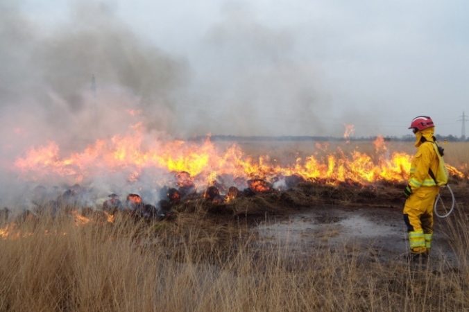 pxhere.com/СС0 | Epoch Times Россия