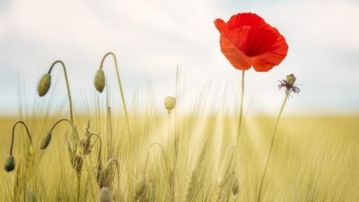 Даже мысли влияют на судьбу! Подтверждает история одного чиновника