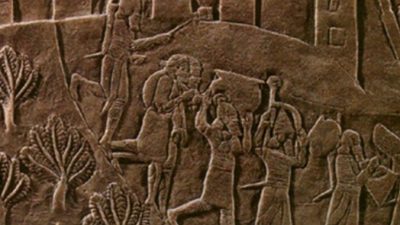 Трагедия в древнем иранском городе: раскопки раскрыли массовое захоронение II века до н.э. в Хафт Тере