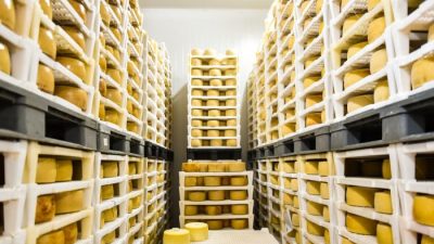 В древних горшках нашли следы доисторического швейцарского сыра