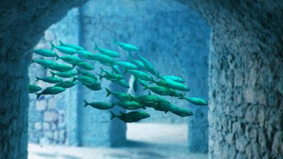 Учёные обнаружили остатки Атлантиды