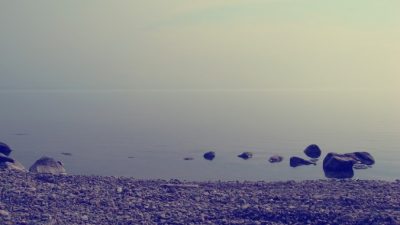 В пробах из Байкала нашли яд нейротоксин