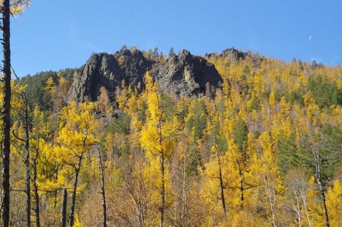 Фото: Olga986/commons.wikimedia.org/CC-BY-SA-4.0 | Epoch Times Россия