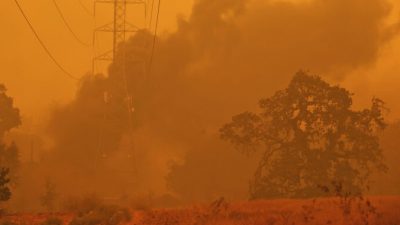 «Когда ситуация принимает опасный оборот, крутые парни берутся за дело». Фермер спас 40 домов и 400 человек от пожара