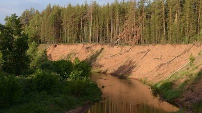 Национальный парк Бузулукский бор привлекает всё больше туристов