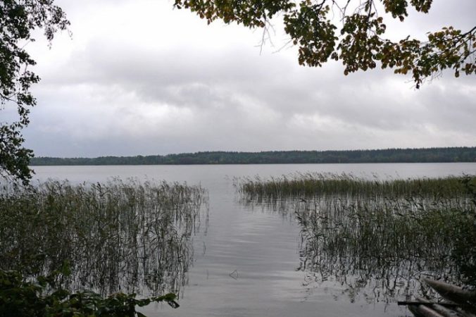 Фото: Дар Ветер/commons.wikimedia.org/Creative Commons Attribution-Share Alike 3.0 Unported | Epoch Times Россия