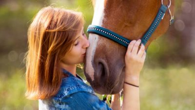 (Видео) Лошадь услышала плач хозяйки и принесла ей клочок сена — вместо платочка