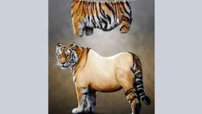 День рождения бывшего лидера Китая, или стриженый тигр