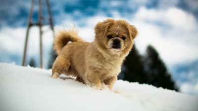 Krishh/unsplash.com/License Unsplash