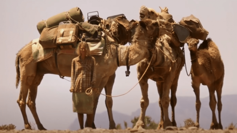 Кадр из фильма «Тропы». Скриншот/youtube.com | Epoch Times Россия