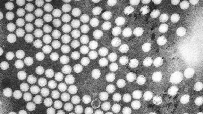 ВОЗ: Африке угрожает новая эпидемия