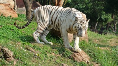 JudaM/pixabay.com/Pixabay License