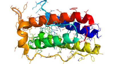 Почему после похудения вес набирается снова?