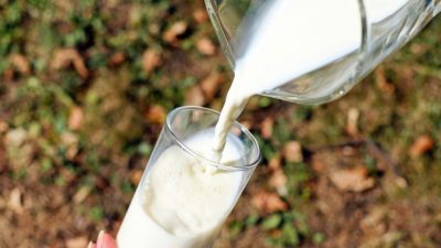 Польза и вред молока для человека. Так стоит ли его всё-таки пить?