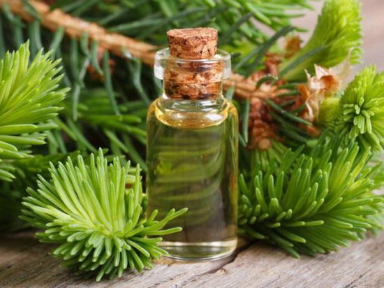 Кедр. Фото: sovetnika.net | Epoch Times Россия