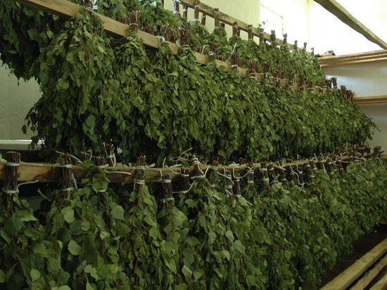 Банный веник. Фото: sovetnika.net | Epoch Times Россия