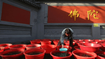 Буддийская гуманность в неправильной интерпретации