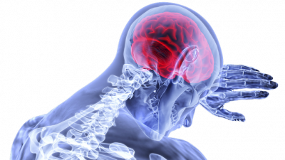 Учёные рассказали о механизмах старения головного мозга