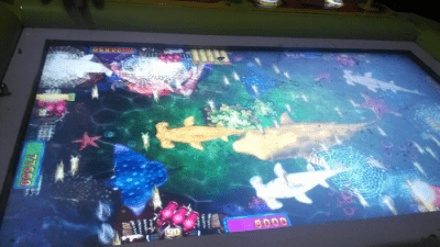 Hit the Fish - аркада, в которой Се потерял деньги и свободу. (Sina Weibo)