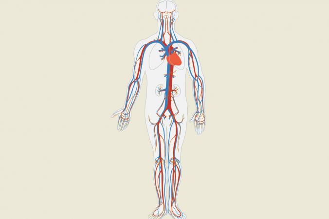 Clker-Free-Vector-Images/pixabay.com/Pixabay License