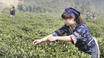 Китайские рабочие-мигранты: в сердце экономического роста