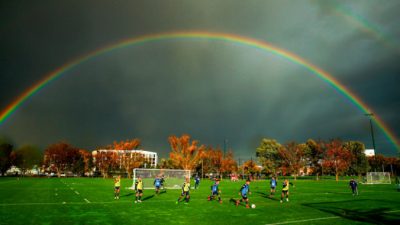 Добрые соседи. Австралийские истории