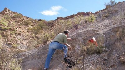 Первые динозавры на Земле появились на 5-10 миллионов лет раньше, чем мы думали