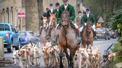 Учёные назвали самого опасного хищника на планете