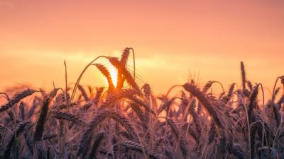 Глобальное потепление: погода ставит новые рекорды