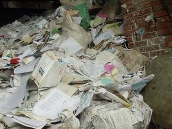 На мусорную реформу в стране потратят 1 млрд рублей салфелки