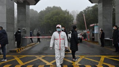 Учёные призывают расследовать возможность происхождения вируса в лаборатории