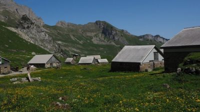 С 1 августа россияне смогут бесплатно получить гектар земли в Арктике