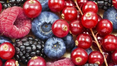 Ягоды — лучшая пища при диабете