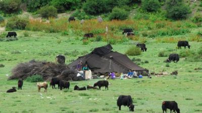 В Твиттере госсовета Китая появились странные сообщения