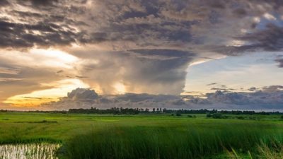 На Алтае мощный ураган за три минуты разметал тяжёлые бочки для зерна (Видео)