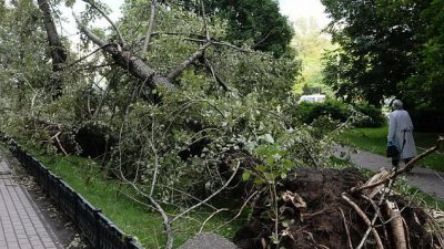 Саратовская область пострадала от урагана