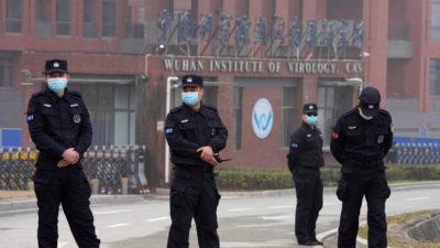 Кадры с летучими мышами в лаборатории Уханя привлекли внимание исследователей