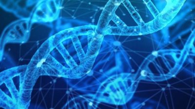 Попытки Китая собрать данные по геномике США пресекут новые законы