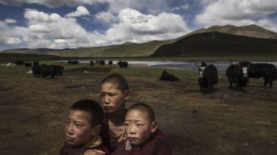 Молодые тибетские буддийские монахи-новички стоят на лугах своего кочевого лагеря 24 июля 2015 года на Тибетском плато в округе Мадоу, Цинхай, Китай. (Кевин Фрайер / Getty Images)