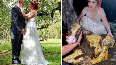 Невеста на свадьбу получила подарок от своей коровы