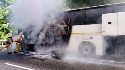 15 детей пострадали при столкновении автобусов в Краснодарском крае