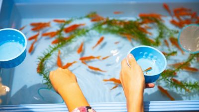 Педикюр рыбками