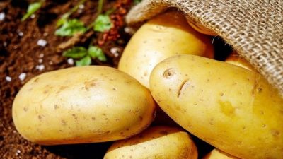 Цены на картофель в России за полгода поднялись на 82%, на морковь — 102%