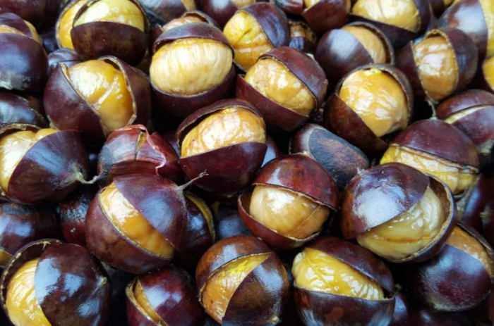 Шесть продуктов против усталости Шесть продуктов против усталости