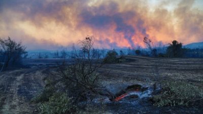 Лесные пожары на юге Турции: три человека погибли, более 100 эвакуированы
