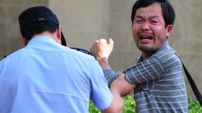 Китайский режим потратил денег в 20 раз больше на отказ в субсидии, чем сумма заявленной субсидии