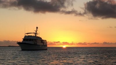 От юриста до острова Хоппер: писатель в раю