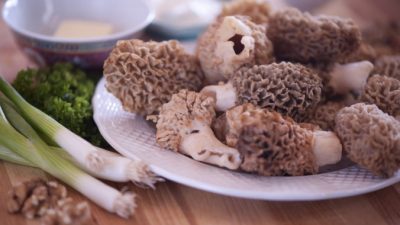 Грибы сморчка, очищенные и готовые к приготовлению. (Кэт Руни / Великая Эпоха)