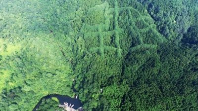 Трудности китайского языка