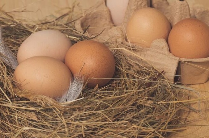 Дордонь: курица несёт яйца «гиганты», это загадка llustration (Pixabay)